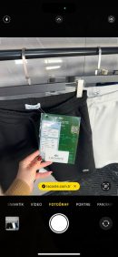 LACOSTE ŞORT PREMİUM 2025